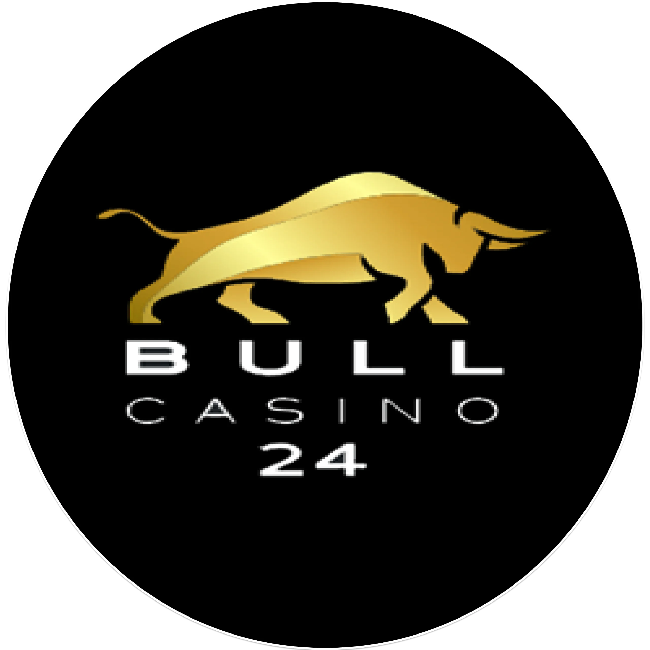 Bull Casino 24 _ logo